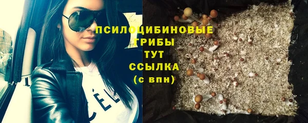 ПСИЛОЦИБИНОВЫЕ ГРИБЫ Ростов