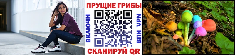 Галлюциногенные грибы Magic Shrooms  закладки  Чкаловск 